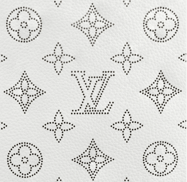 Pre-Loved LV CARMEL Snow White