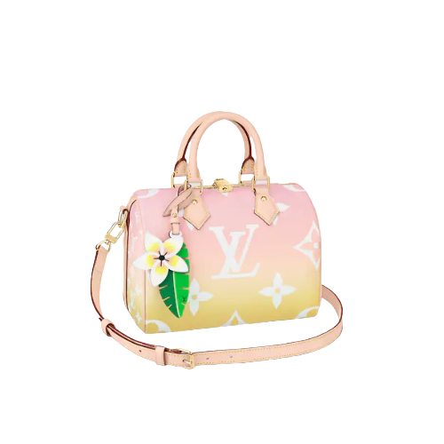 Pre-Loved LV SPEEDY BANDOULIÈRE 25
