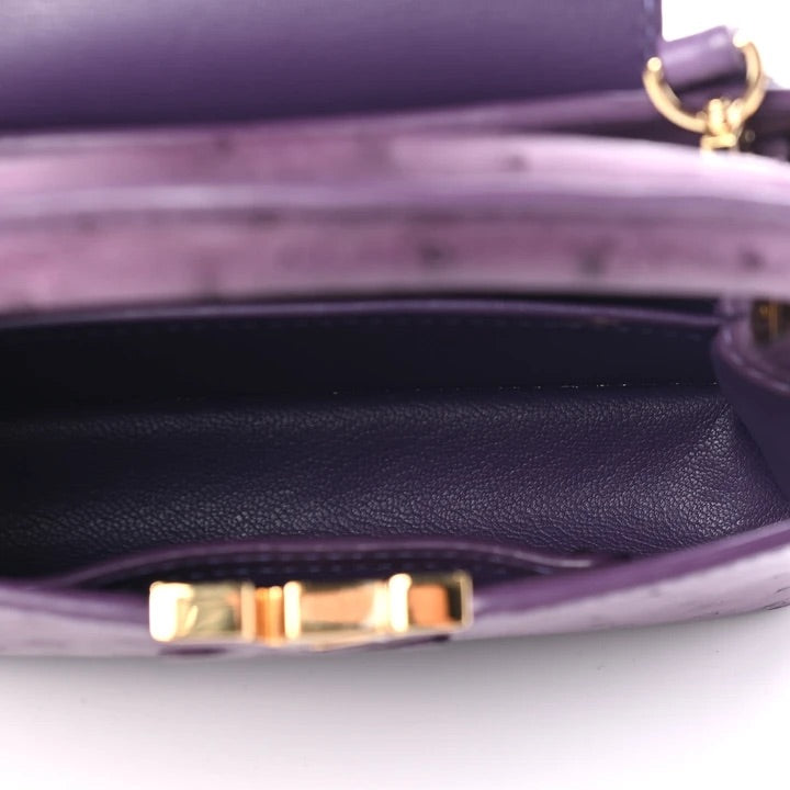 Pre-Loved LOUIS VUITTON Ostrich Capucines BB Amethyst.